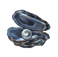 The Pearl of the Mind